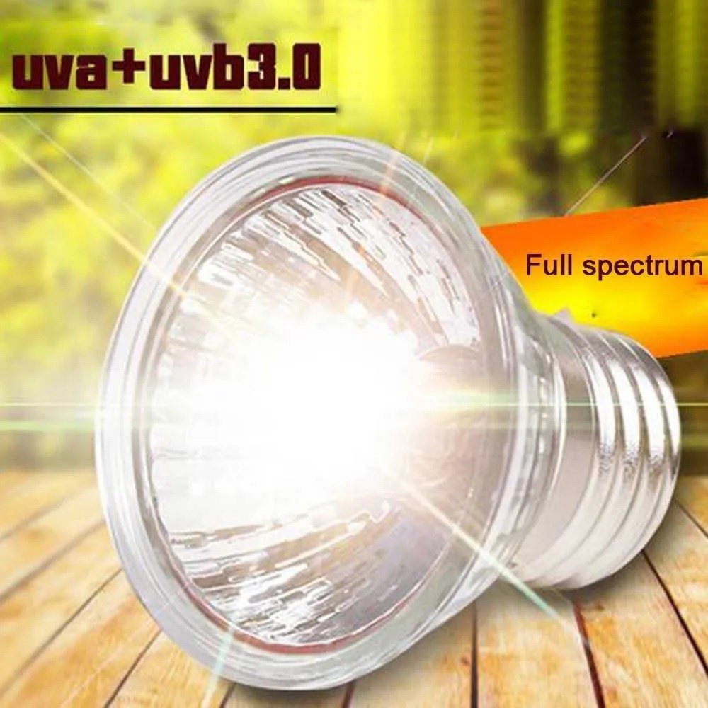 Luminária Com Dimmer Lâmpada Uva Uvb 50w 110v Temporizador Rept Combo - 4