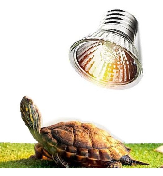Luminária Com Dimmer Lâmpada Uva Uvb 50w 110v Temporizador Rept Combo - 6