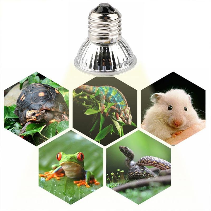 Luminária Com Dimmer Lâmpada Uva Uvb 50w 110v Temporizador Rept Combo - 7