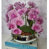 Arranjo Com 4 Orquídeas Violeta Vaso Prata 28cm - 3