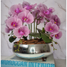 Arranjo Com 4 Orquídeas Violeta Vaso Prata 28cm - 1