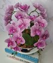 Ver imagem 2 de Arranjo Com 4 Orquídeas Violeta Vaso Prata 28cm