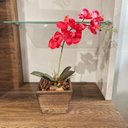Ver imagem 1 de Arranjo de Orquídea Branca em Vaso de Madeira 30cm:vermelha