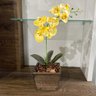 Arranjo de Orquídea Branca em Vaso de Madeira 30cm:vermelha - 3