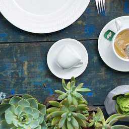 Conjunto 6 Xícaras de Café com Pires em Porcelana 75ml Branco Chevron Germer - 3