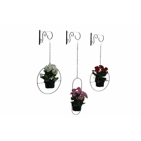 Suporte para Plantas de Parede Vasos de Sflor Ferro Artesanal Jardineira Decoração Mão Francesa Arar