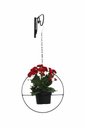 Ver imagem 6 de Suporte para Plantas de Parede Vasos de Sflor Ferro Artesanal Jardineira Decoração Mão Francesa Arar