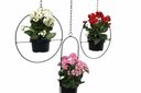 Ver imagem 4 de Suporte para Plantas de Parede Vasos de Sflor Ferro Artesanal Jardineira Decoração Mão Francesa Arar