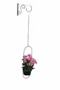 Ver imagem 5 de Suporte para Plantas de Parede Vasos de Sflor Ferro Artesanal Jardineira Decoração Mão Francesa Arar
