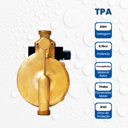 Bomba Monoestágio Tpa 15-9-160(b) Monofásico Motor Thebe 120w 220v - 3