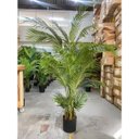 Ver imagem 2 de Palmeira Artificial Grande Árvore Decoração Planta com 150cm