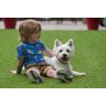 Grama Sintética Pet Love 2x15m (30m²) - 4