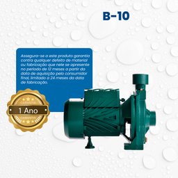 Bomba Monoestágio B-10 1/4 Cv Monofásico Motor Thebe Ip44 127/220v - 5