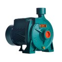 Ver imagem 1 de Bomba Monoestágio B-10 1/4 Cv Monofásico Motor Thebe IP44 127/220V Cinza