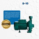 Ver imagem 5 de Bomba Monoestágio B-10 1/4 Cv Monofásico Motor Thebe IP44 127/220V Cinza