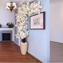 Ver imagem 1 de Arvore Planta Artificial De Flores de Cerejeiras Branca 2mt