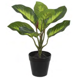 Planta Árvore Artificial Comigo Ninguém Pode Real Toque X8 Verde 30cm