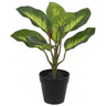 Planta Árvore Artificial Comigo Ninguém Pode Real Toque X8 Verde 30cm - 1