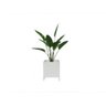 Cachepot New Branco - 1