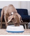 Ver imagem 2 de Comedouro Com Balança Para Cães E Gatos Grande TrendPet Smart Metal