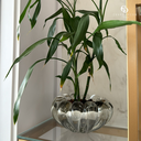 Ver imagem 3 de Cachepot Cristal Murano Dinant Quartzo Pérola