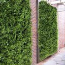 Ver imagem 4 de Kit com 22 Placas de Jardim Vertical Artificial Luxo com Folhagens Densas e Realistas