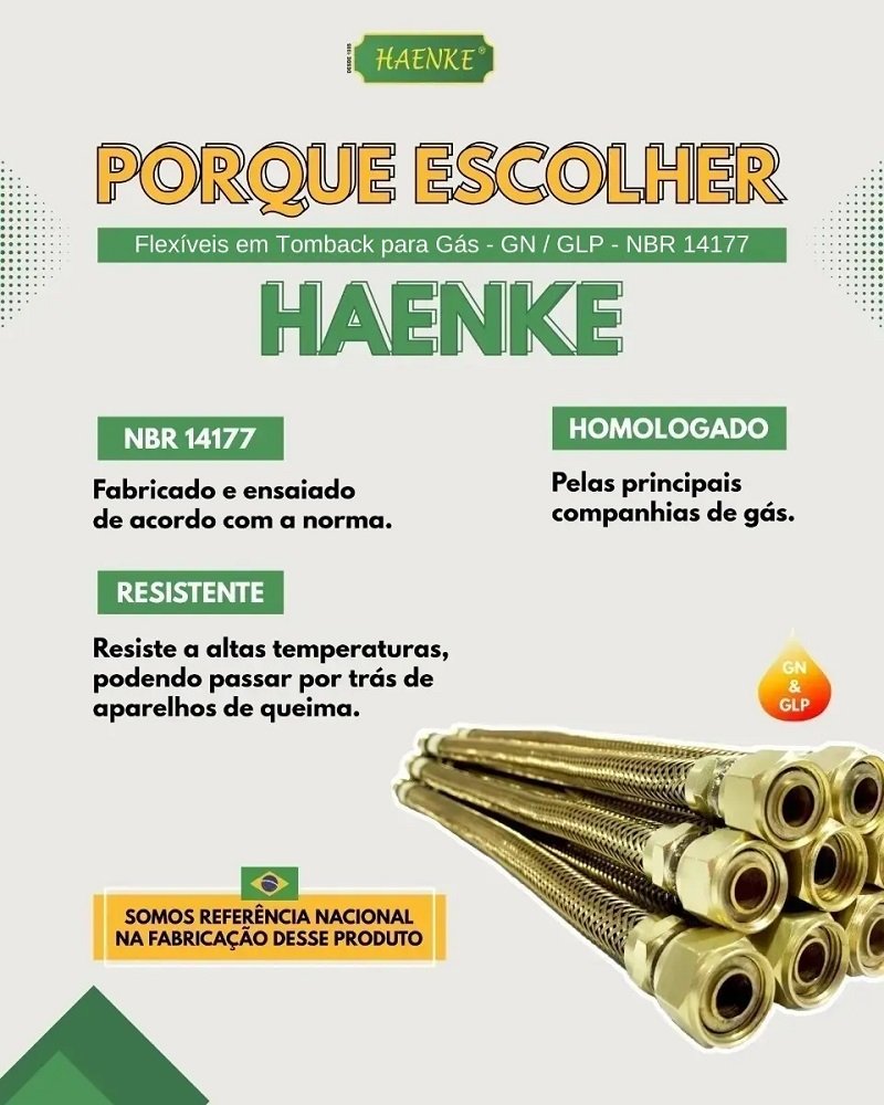 Mangueira Gas Aramada Cobre 1,00m Haenke - 5