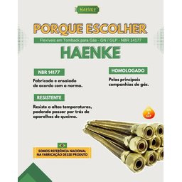 Mangueira Gas Aramada Cobre 1,00m Haenke - 5