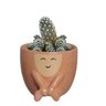 Mini Vaso Rostinho suculenta P - Harmonia 3 - 1