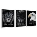 Ver imagem 3 de Kit 3 Quadros Disciplina Execução Foco Motivação Moldura:branca