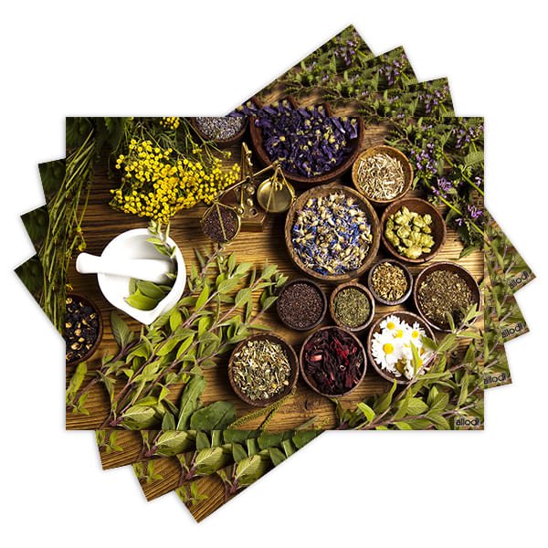 Jogo Americano com 4 peças - Flores - Folhas - Temperos - 2054Jo - 1