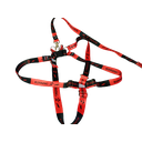 Ver imagem 4 de Conjunto Peitoral Ajustável RBPet com Guia - Cães de Grande Porte