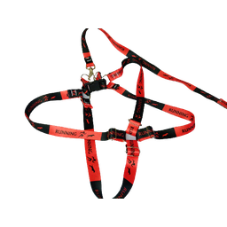 Conjunto Peitoral Ajustável RBPet com Guia - Cães de Grande Porte - 4
