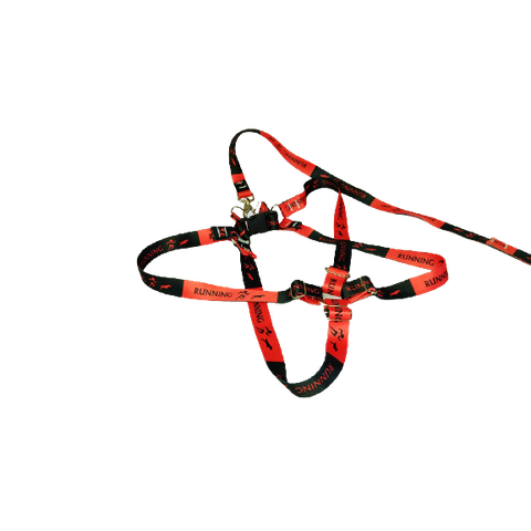 Conjunto Peitoral Ajustável RBPet com Guia - Cães de Grande Porte