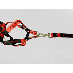 Conjunto Peitoral Ajustável RBPet com Guia - Cães de Grande Porte - 6