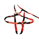 Ver imagem 5 de Conjunto Peitoral Ajustável RBPet com Guia - Cães de Grande Porte
