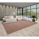 Ver imagem 2 de Tapete para Sala Elegant Rose Silver 2,50x3,00 São Carlos