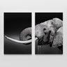 Quadro Elefante Bebendo Água - Kit 2 telas - 1