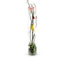 Ver imagem 4 de Vaso Cilíndrico de Vidro 14x60cm para Arranjos Florais em Eventos e Decoração
