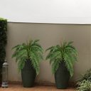 Ver mais imagens de 2 Buquês Samambaia Artificial 55cm para Vasos, Arranjos e Decoração