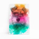 Ver imagem 1 de Quadro Schnauzer Cachorro Tinta Aquarela Canvas 30x40cm