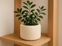 Ver imagem 2 de Vaso Fino para Plantas e Decoração