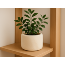 Ver imagem 2 de Vaso para Plantas e Decoração