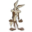 Ver imagem 1 de Funpin Coiote Looney Tunes