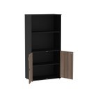 Ver imagem 3 de Armario Misto 02 Portas Pivotante AM1600MX-33 Preto/Walnut
