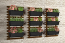 Ver imagem 1 de 3 Jardins Verticais / Horta Vertical / Floreira Suspensa