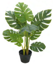 Ver imagem 1 de Planta Árvore Artificial Costela de Adão Real Toque Verde 85cm