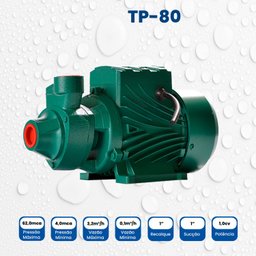 Bomba Periférica Tp-80 1,0 Cv Monofásico Motor Thebe Ip44 127/220v - 3