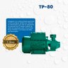 Bomba Periférica Tp-80 1,0 Cv Monofásico Motor Thebe Ip44 127/220v - 5