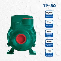Bomba Periférica Tp-80 1,0 Cv Monofásico Motor Thebe Ip44 127/220v - 4